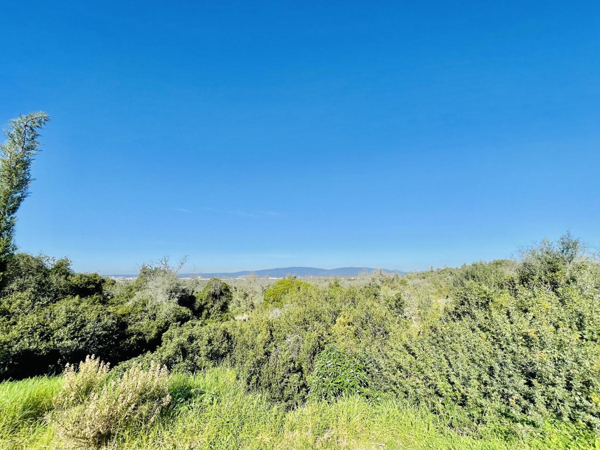 Lavanda - 2 Bedrooms - 3 Level Pool - Garden - Beach 1Km Estombar Bagian luar foto